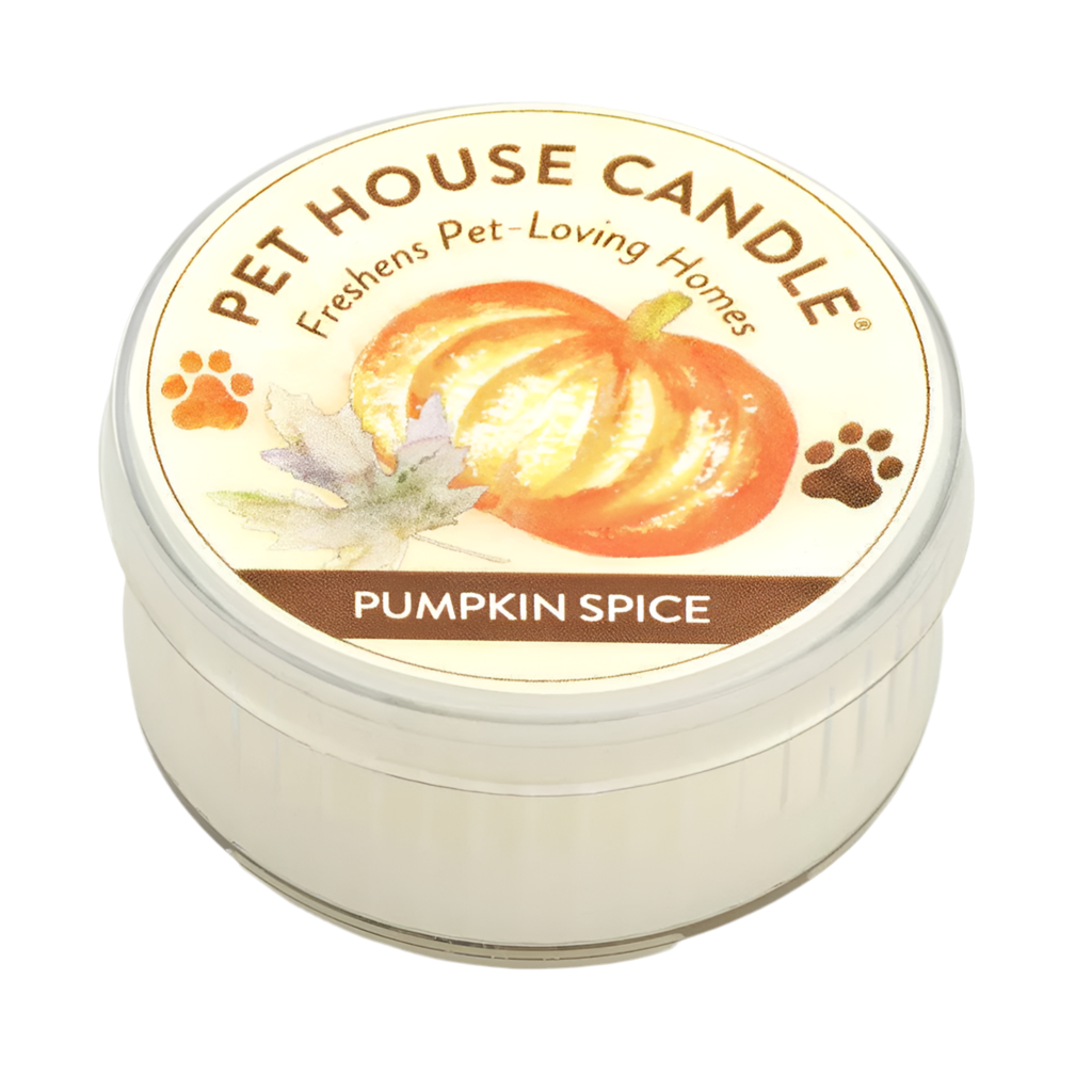 Pet House Pumpkin Spice Mini Candle